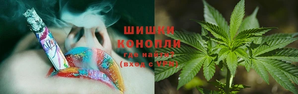 мдпв Богородск