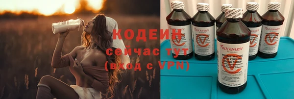 шишки Белоозёрский