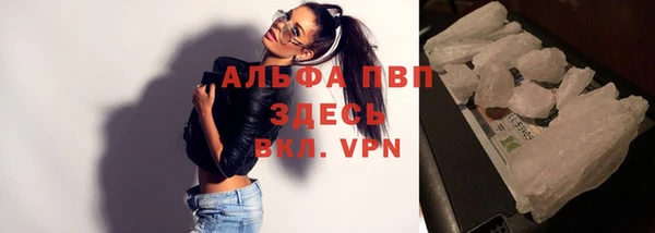 шишки Белоозёрский