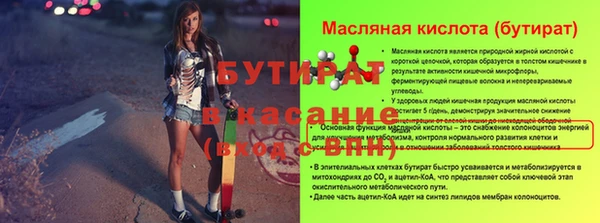 шишки Белоозёрский