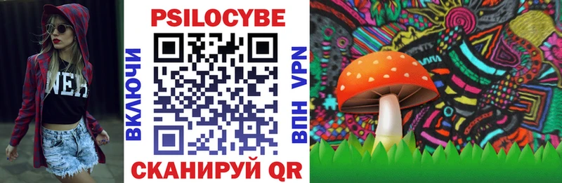Псилоцибиновые грибы мицелий  хочу   Олёкминск 