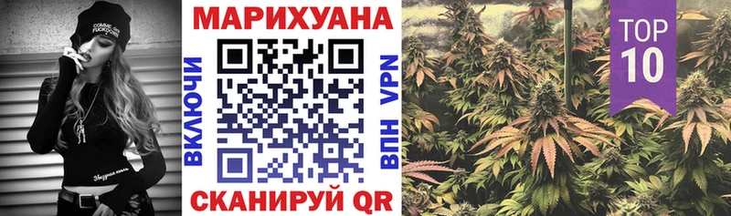 где продают наркотики  Олёкминск  мориарти телеграм  Каннабис сатива 